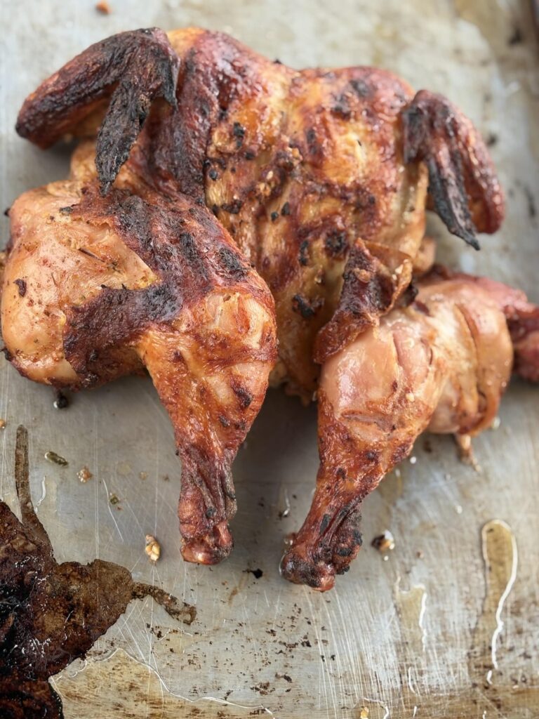 Day 1 cook on classic Joe1