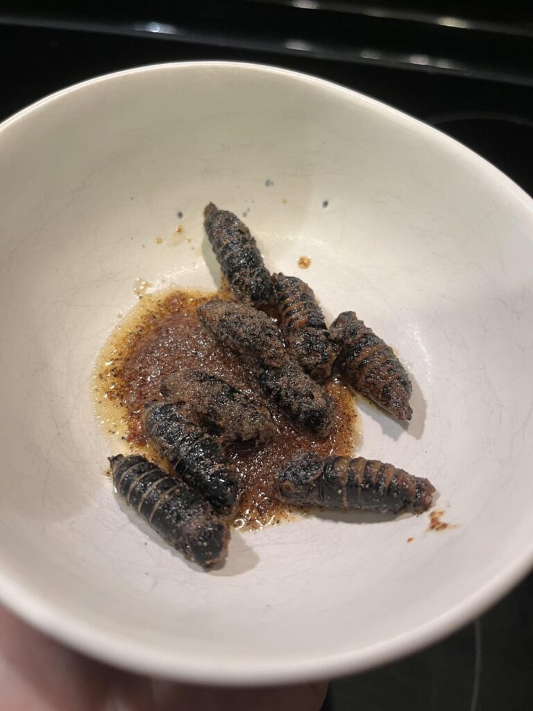 Cicadas, fresh from the backyard