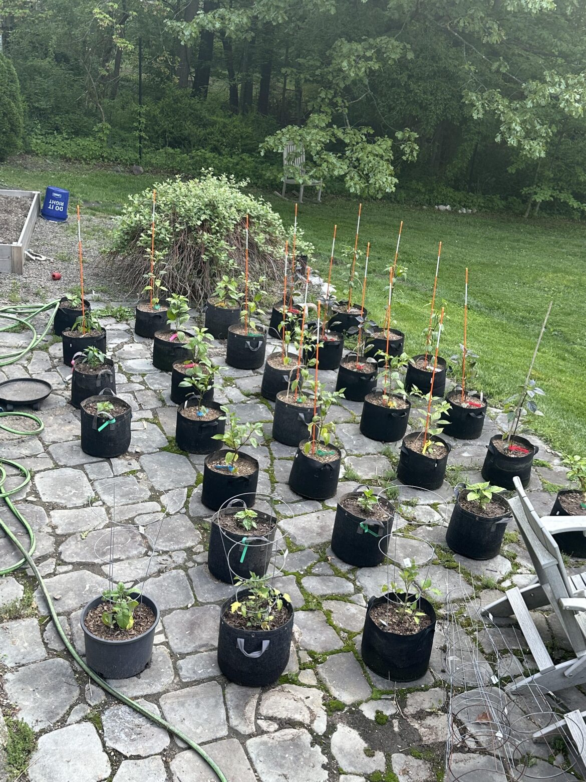 year 2, i think i overdid it