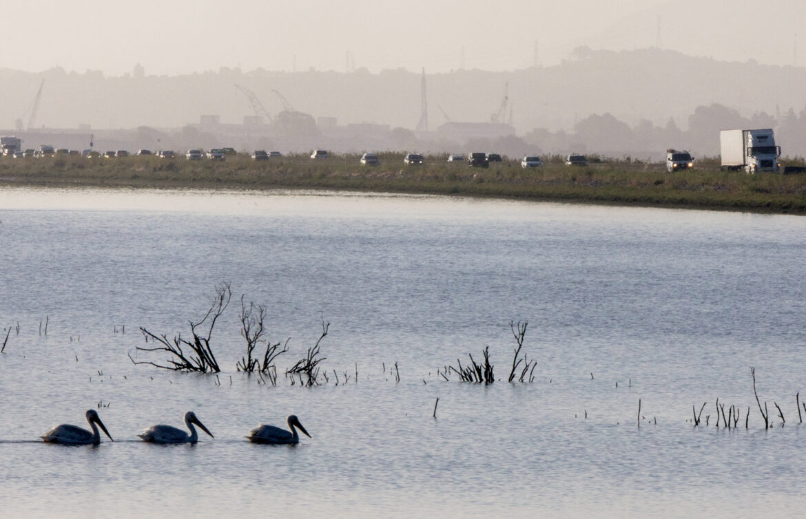 California may waive endangered species rules for Highway 37