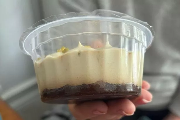 A tiramisu in a plastic tub 