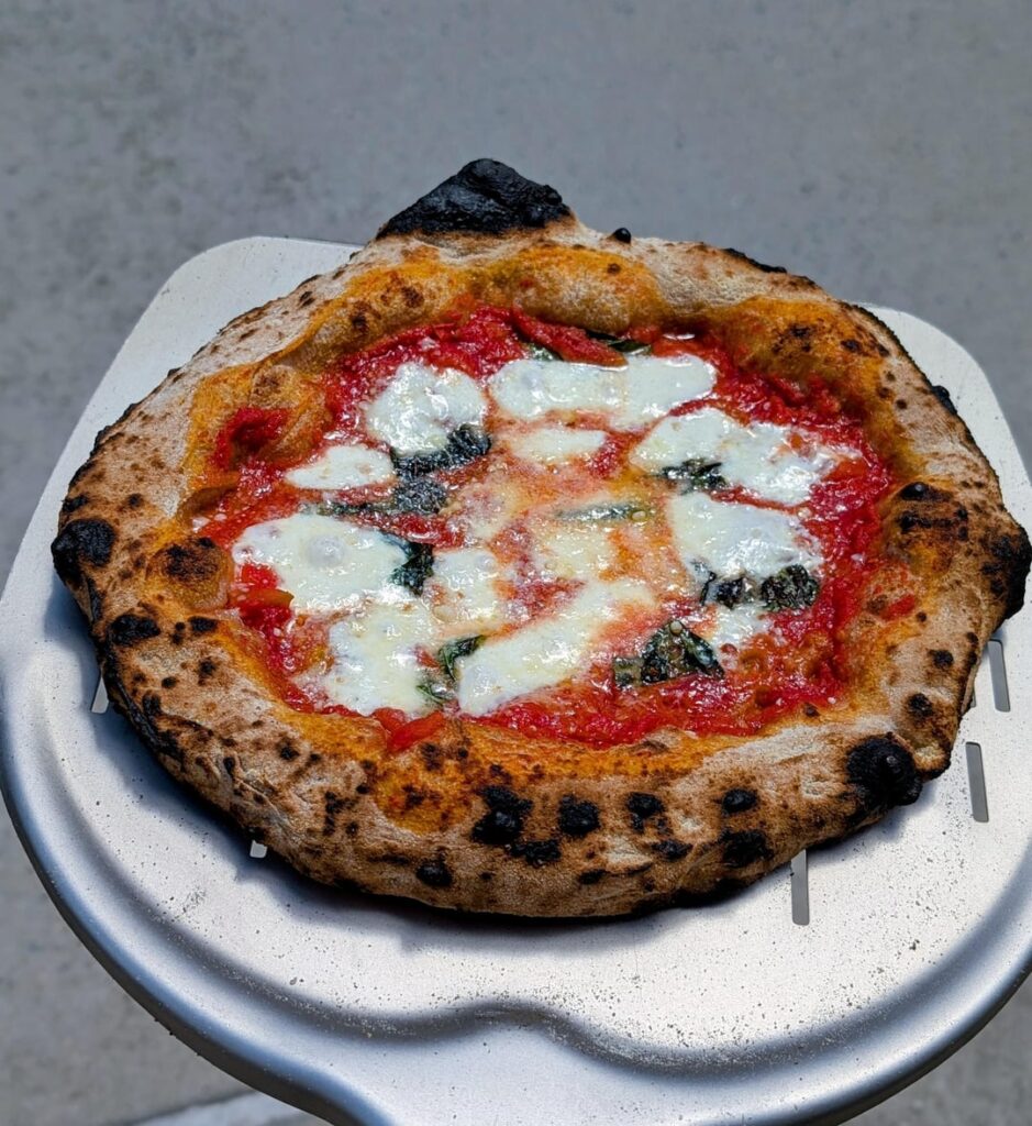 Julian Sisofo’s WW BIGA & Biga 3.0 Julian Sisofo's WW BIGA & Biga 3.0