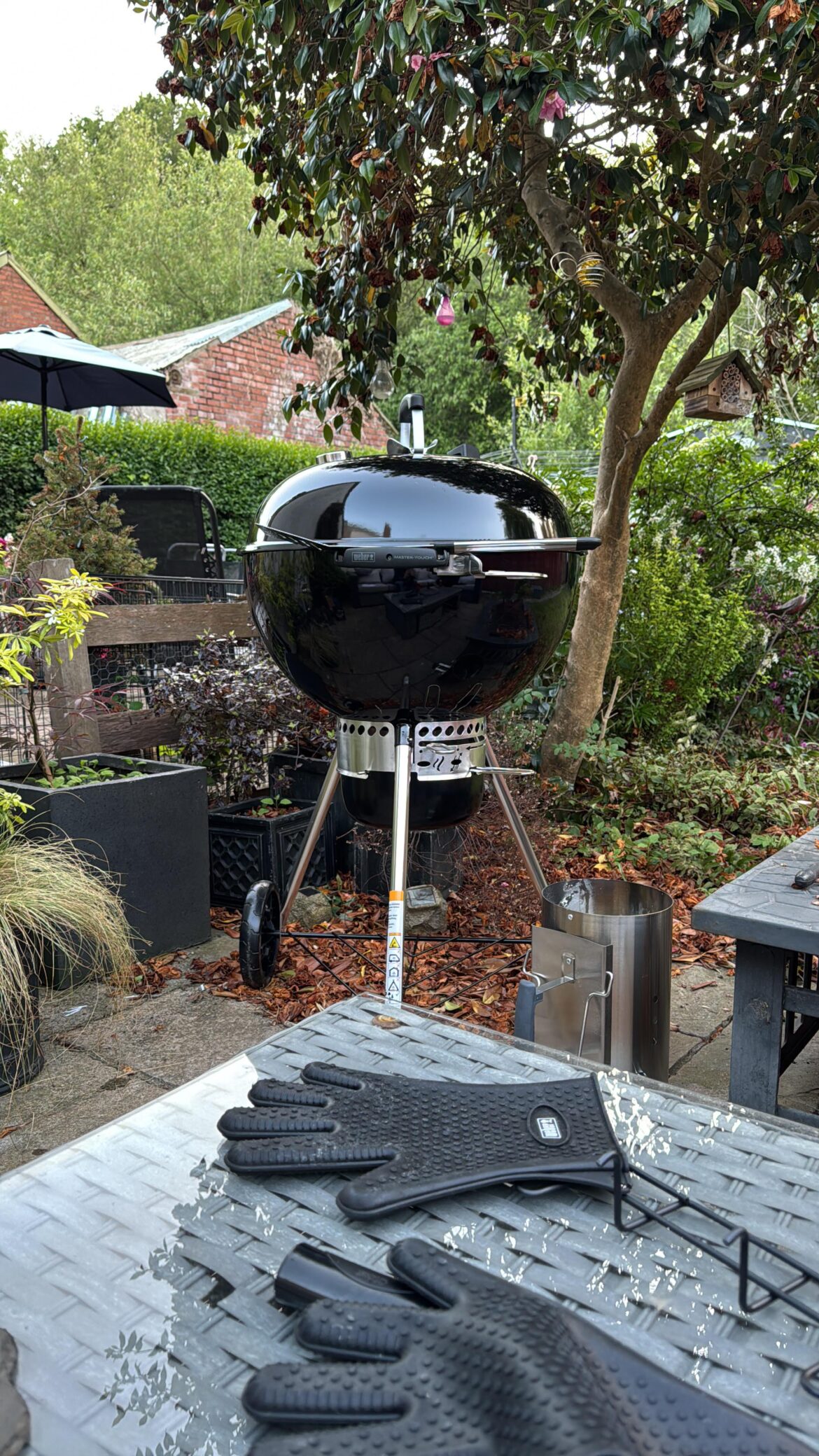 First grill! Reverse sear ribeye the first night, chilli in a Dutch oven the next - Never looking back.