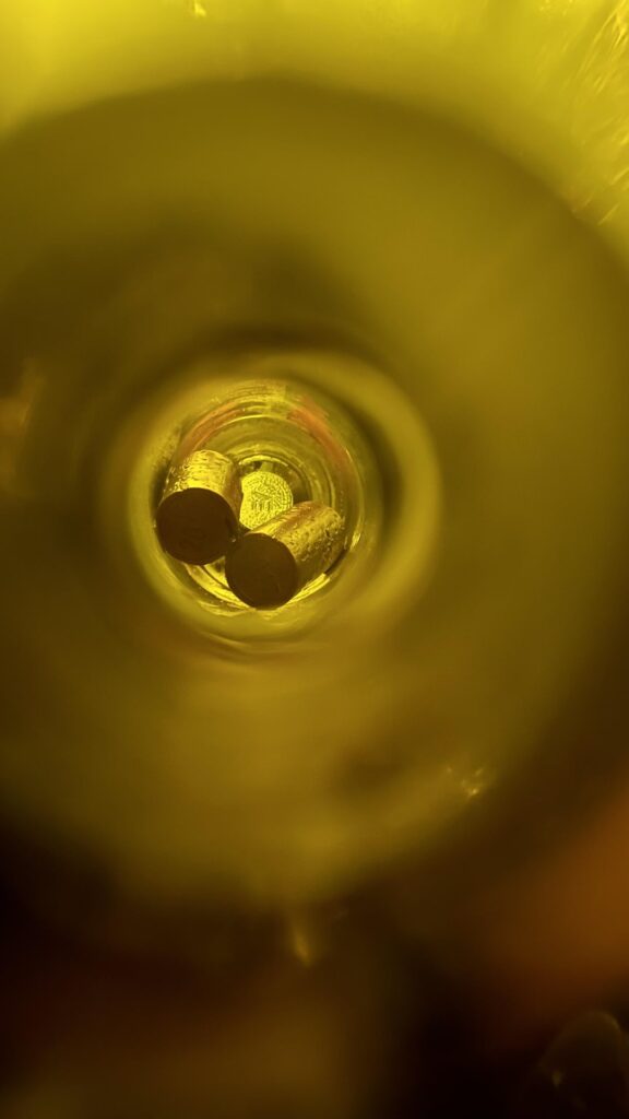 Just found these two corks inside a bottle I just finished - does anyone know why?