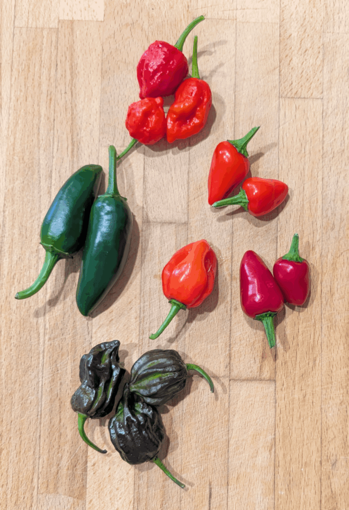 No fancy title, just peppers 🌶️