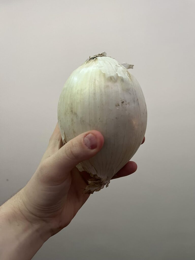 what i see / what she sees