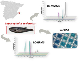 Evaluation of tetrodotoxins in puffer fish caught along the Mediterranean coast of Spain. Toxin profile of Lagocephalus sceleratus Elsevier logo
