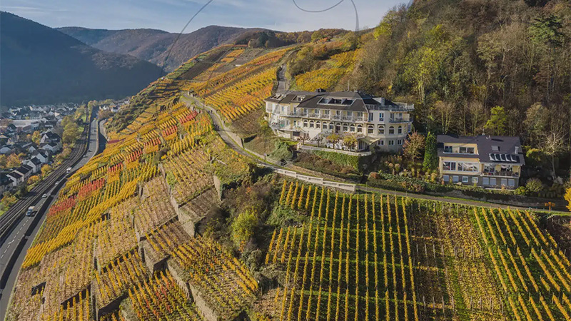 Ahr Valley, Germany is one of the best wine destinations to visit in 2025. 