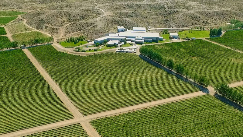 Patagonia, Argentina is one of the best wine destinations to visit in 2025. 