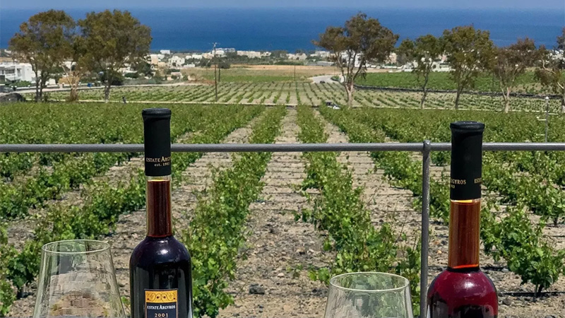 Santorini, Greece is one of the best wine destinations to visit in 2025. 