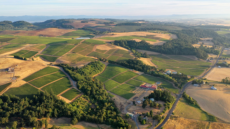 Willamette Valley, Oregon is one of the best wine destinations to visit in 2025. 