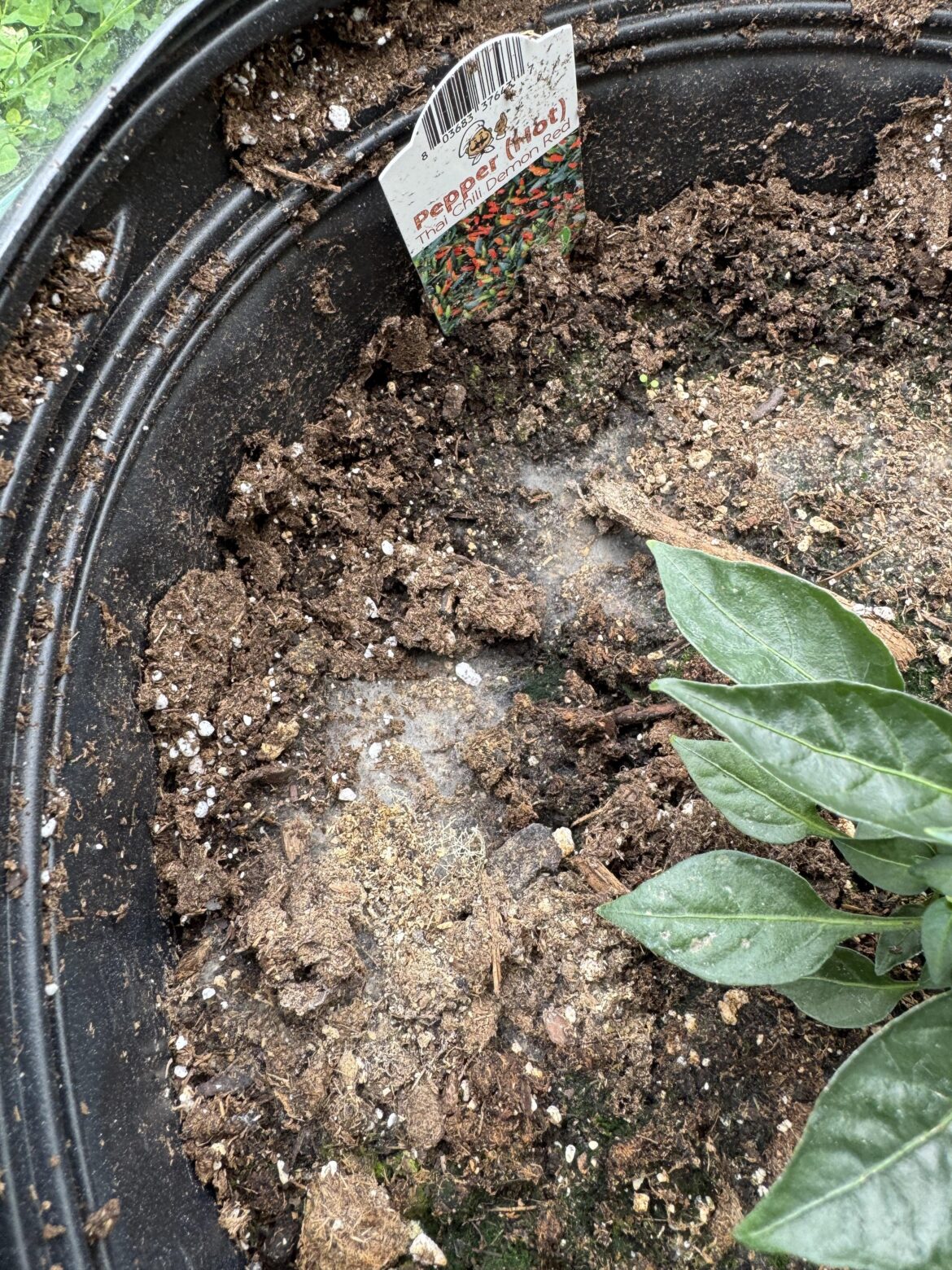 New at this… help?