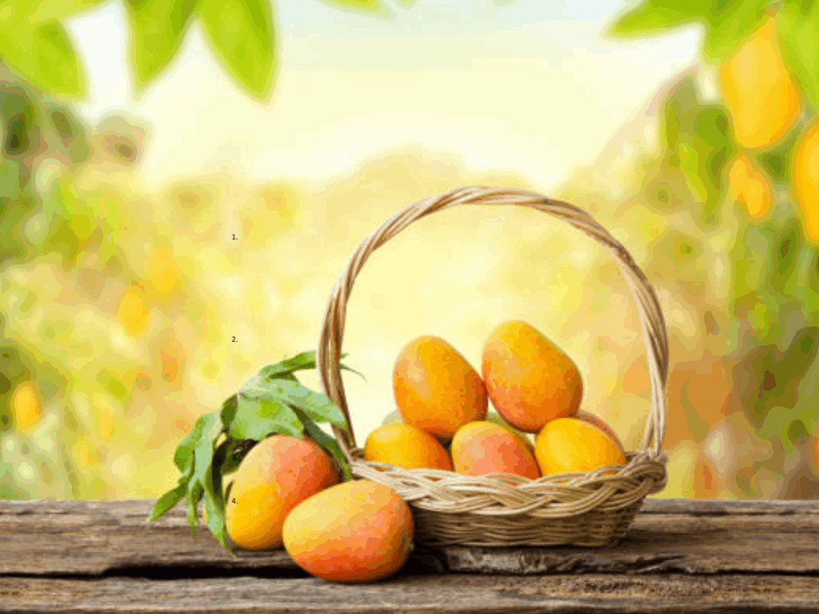 7 surprising health benefits of eating 1 mango every day 7 surprising health benefits of eating 1 mango every day