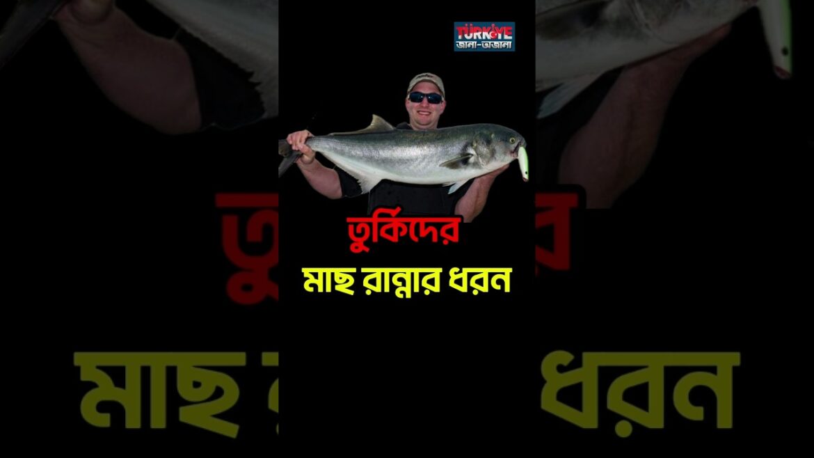 তুর্কিরা এভাবে মাছ খায়? | turkish fish recipe | Turkiye Unveiled |  তুরস্ক