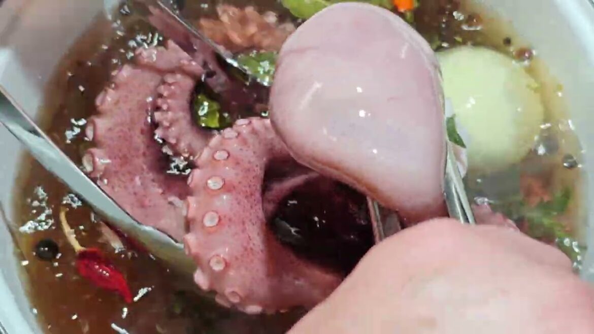 OCTOPUS, EL REY DEL PULPO