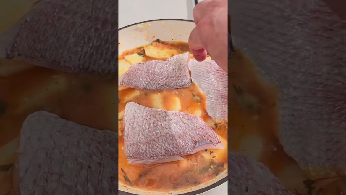 PSARI PLAKI – GREEK BAKED FISH WITH POTATOES & TOMATO #snapper #shorts #whitesnapper PSARI PLAKI – GREEK BAKED FISH WITH POTATOES & TOMATO #snapper #shorts #whitesnapper