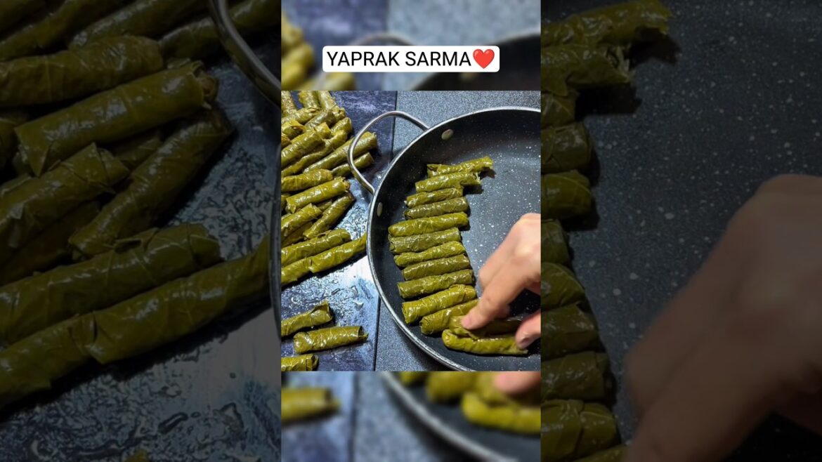 YAPRAK SARMASI ❤️ ZEYTİNYAĞLI YAPRAK SARMASI TARİFİ✅ YAPRAK SARMASI ❤️ ZEYTİNYAĞLI YAPRAK SARMASI TARİFİ✅