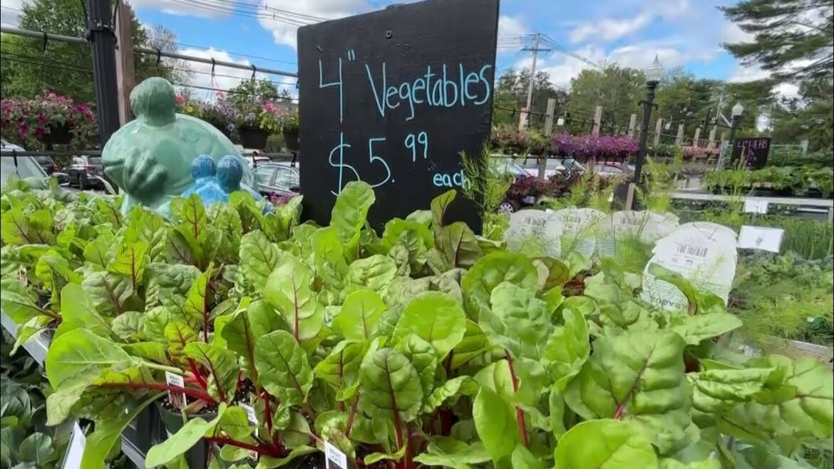 Tips for getting the most from your fruit, vegetable garden