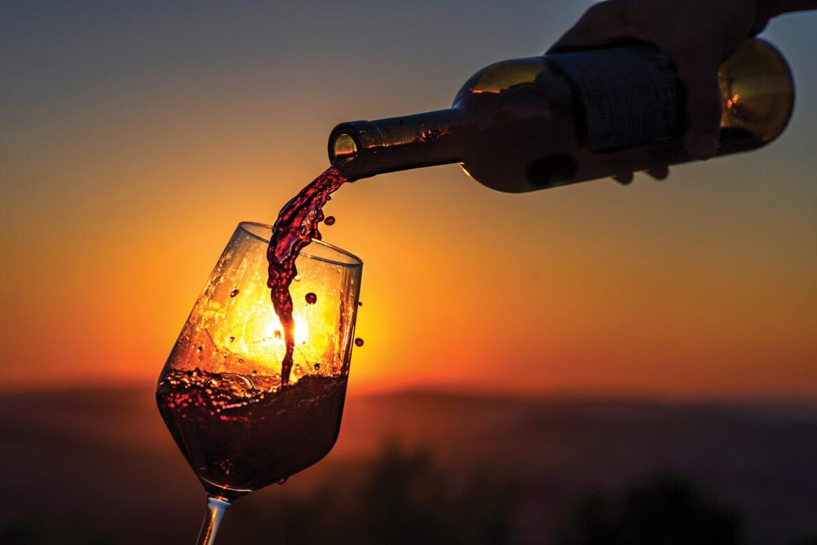 Under-the-radar grape varieties grown in America such as Gamay, Vermentino, Trousseau, Carignan, and a litany of others are becoming more popular. Photo courtesy of iStock