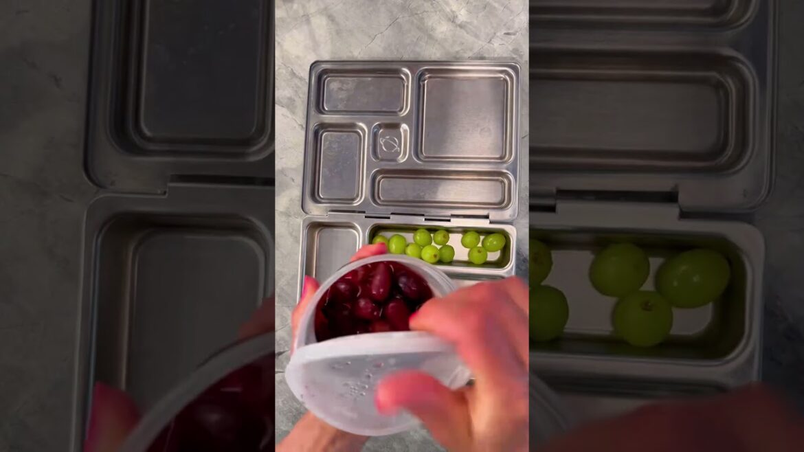 Bagel cream cheese and lox! First time I do this kind of lunch... curious to see how they like it!