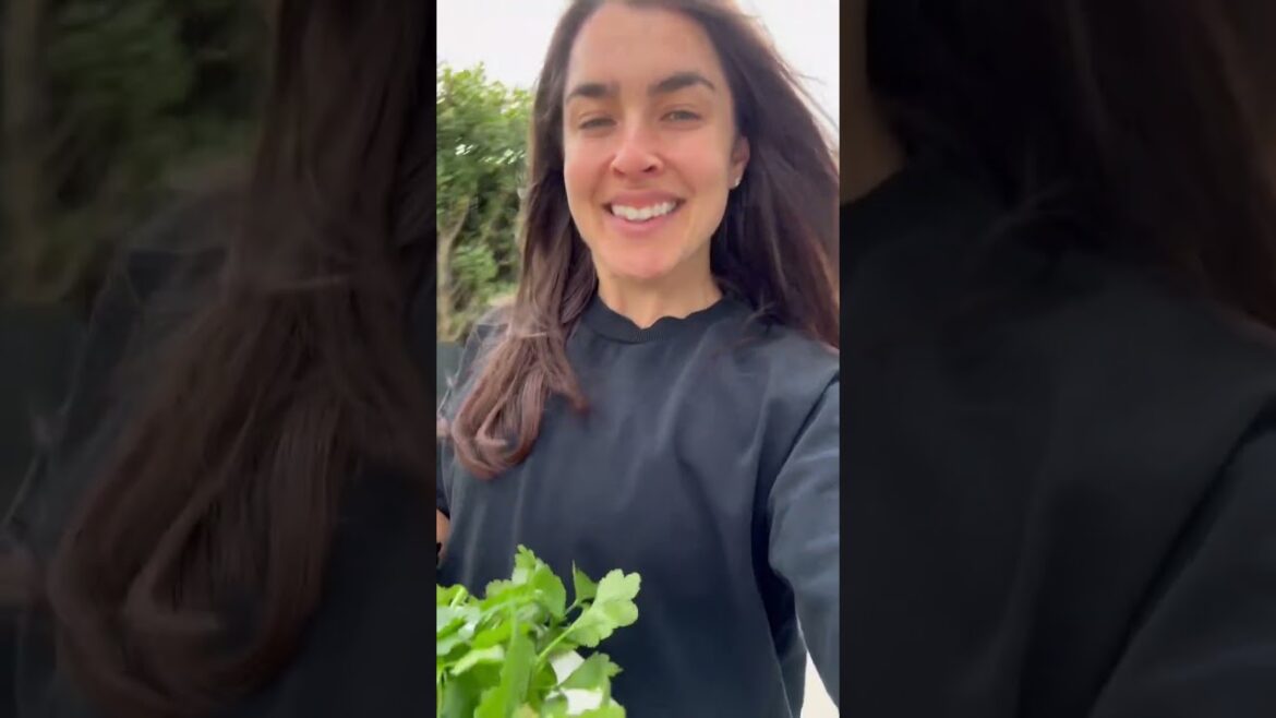 Hasselback Root Veggies with a Chunky Herby Jalapeno Salsa