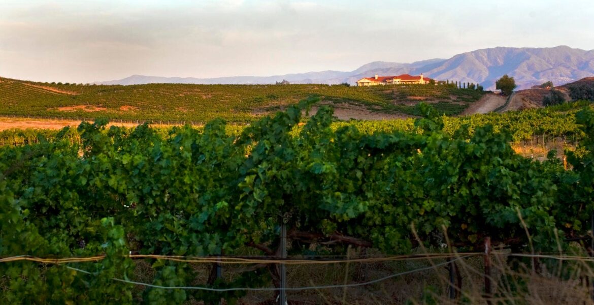 This ‘Unique’ California Wine Region Brings ‘Diversity Of Experiences’