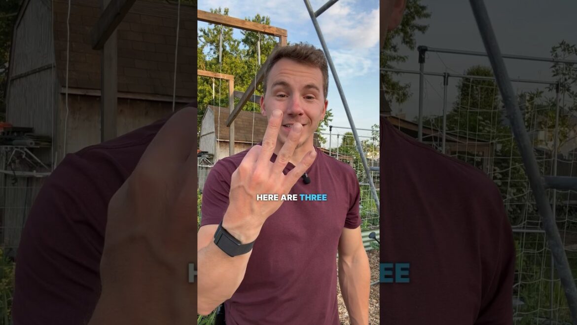 3 AMAZING Garden Trellises