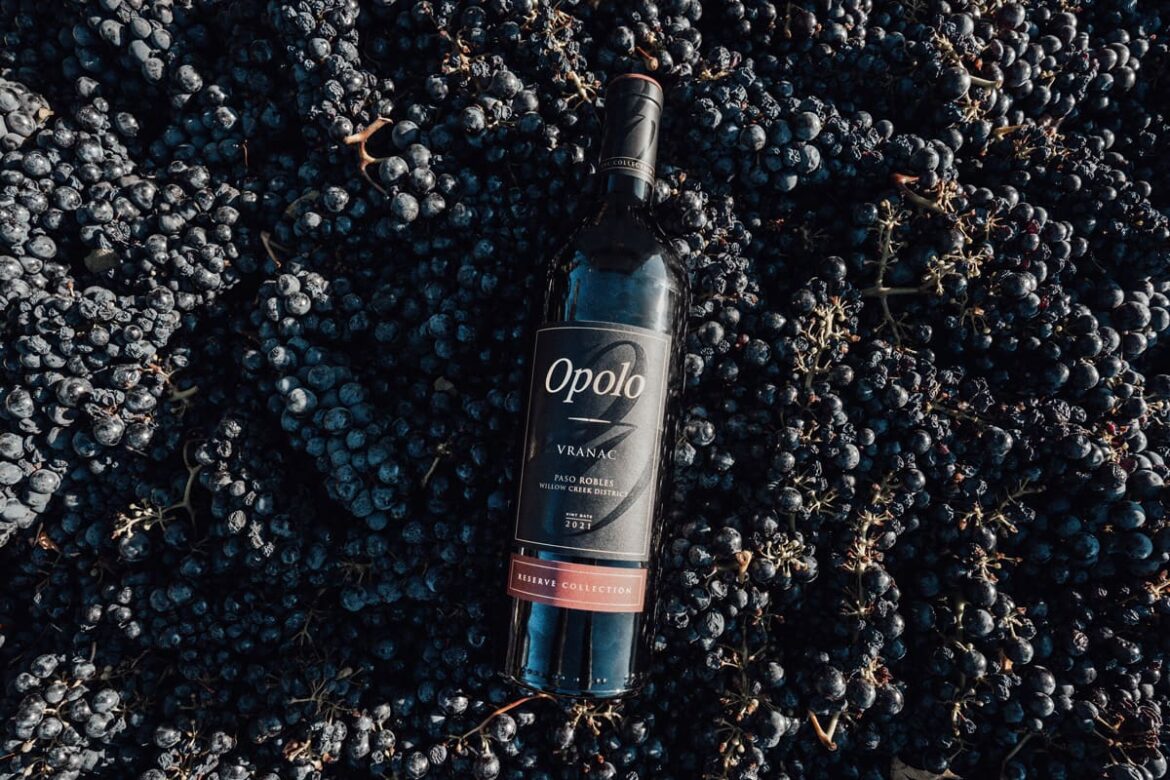 Opolo Vineyards Officially Introduces “Vranac” to American Wine Industry