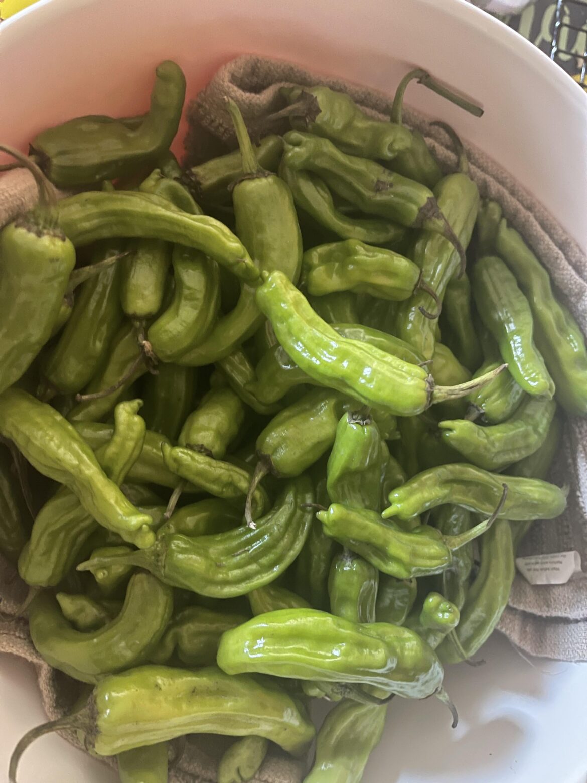 What kind of chillies are these?
