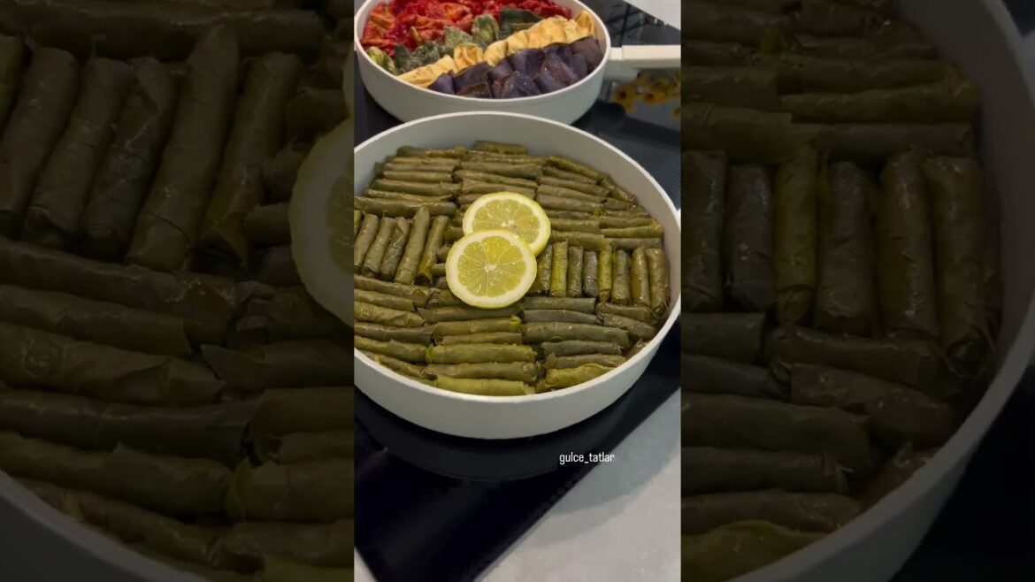 YAPRAK SARMA TARİFİ #masterchef #food #tarif YAPRAK SARMA TARİFİ #masterchef #food #tarif