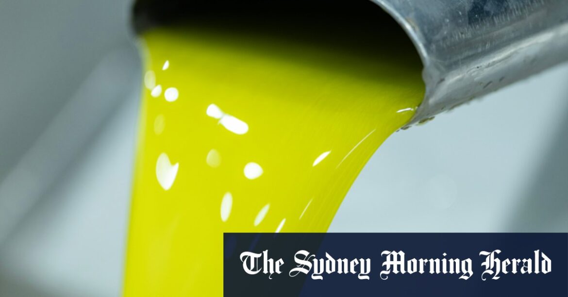 Cobram olive oil will be rushed onto shelves just before a shortage sets in