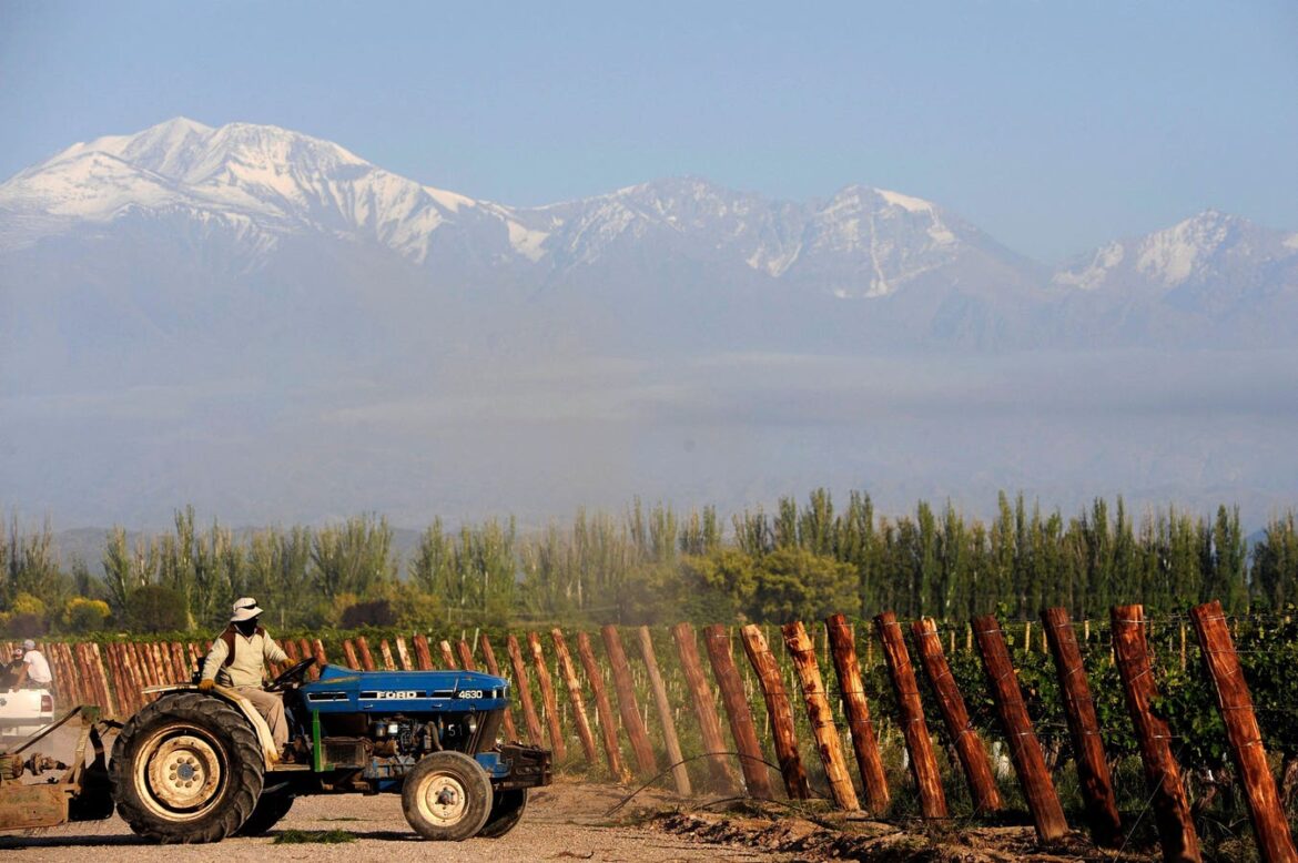 Inside Argentina’s Sustainable Wine Movement Inside Argentina’s Sustainable Wine Movement