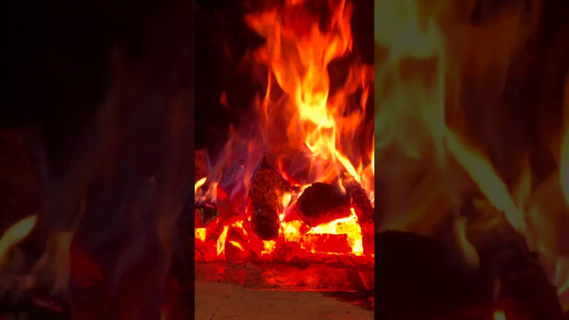 Altamura’s Focaccia: Handmade Like 600 Years Ago Altamura’s Focaccia: Handmade Like 600 Years Ago