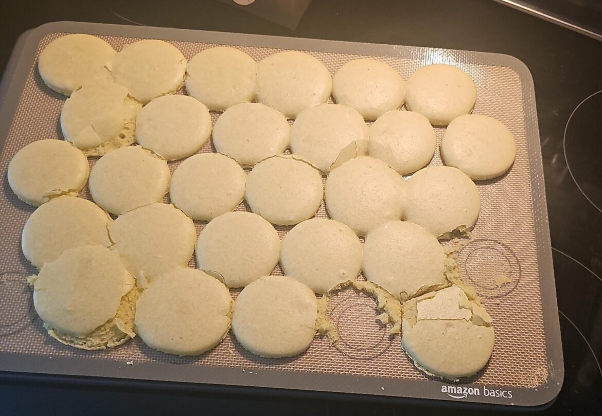 What did i do wrong? What did i do wrong?