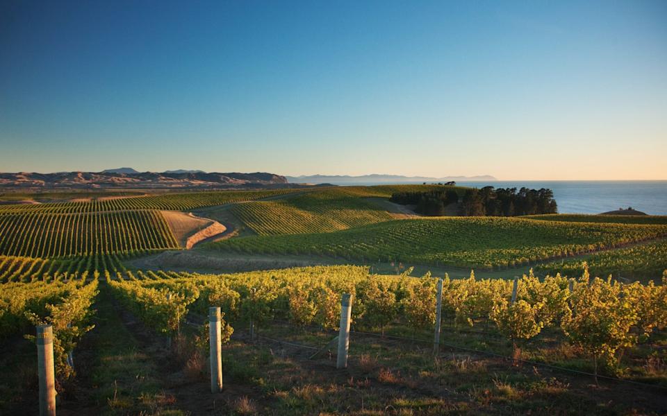 Yealands Estate winery