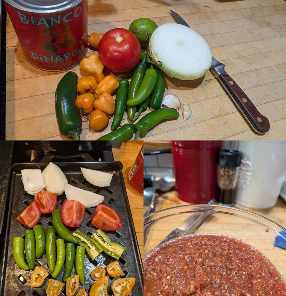 SALSA DAY - made from weekend leftovers