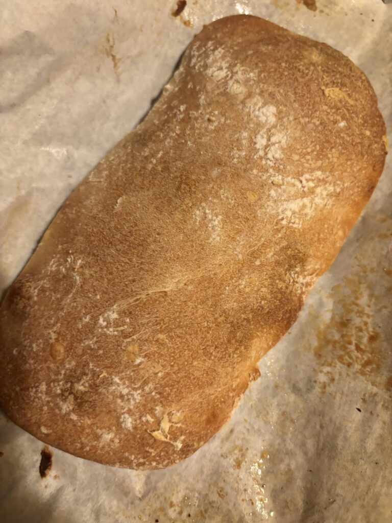 Tried my hand at a ciabatta for the first time