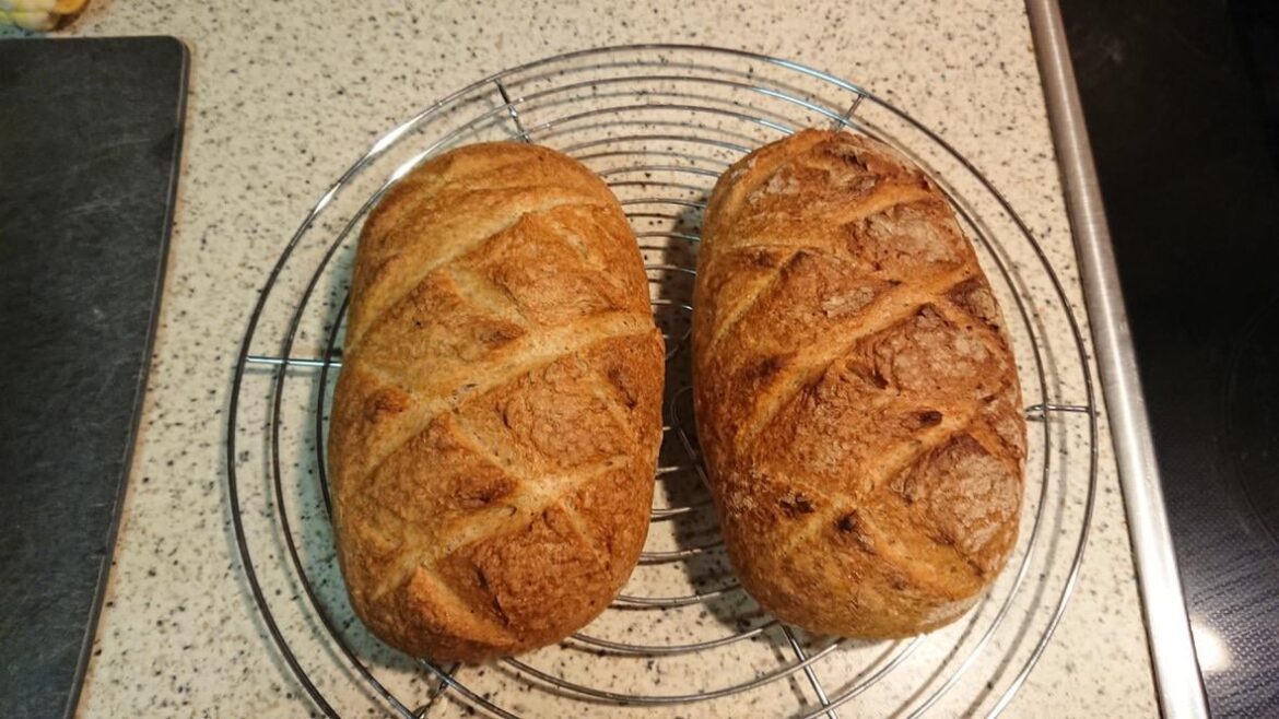 So I made these two last night (no money shot, I gave them away). 75% hydration, 40% buckwheat, 20% plain wheat. They didn't like it, said it was overcooked. Help?