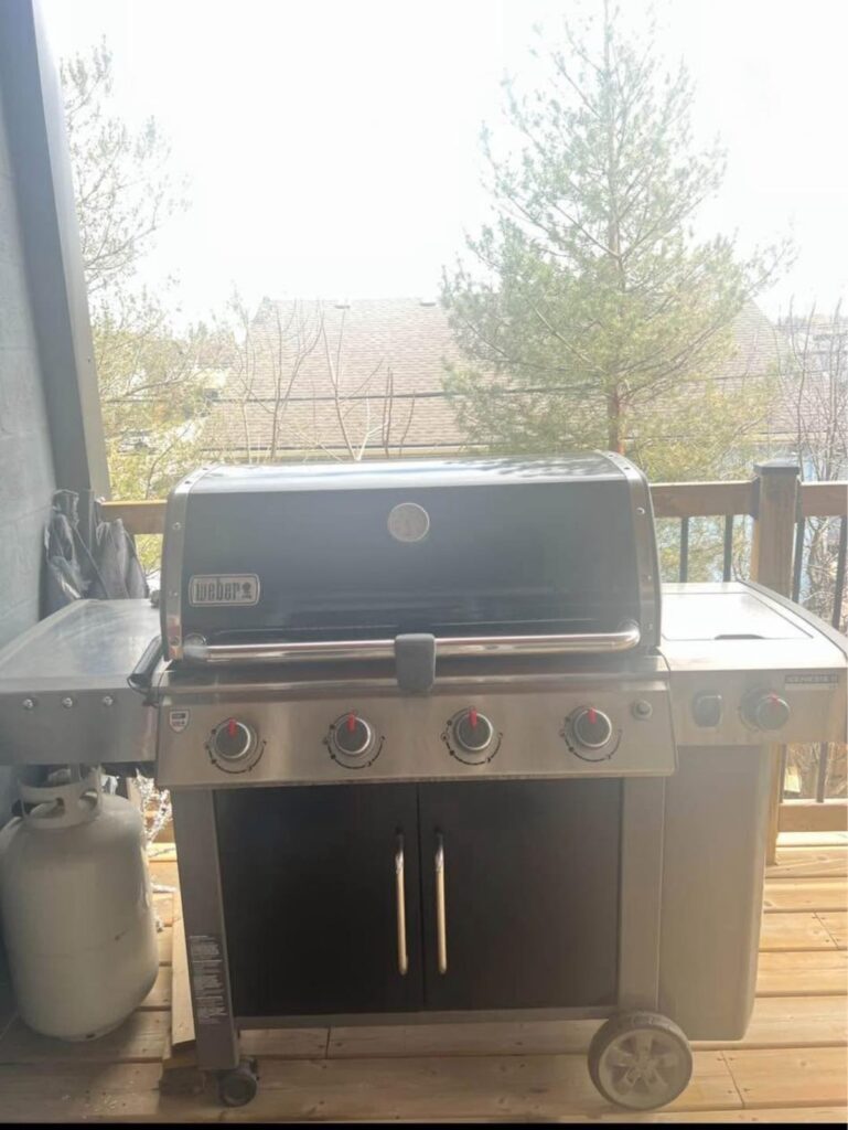 Is this Genesis II LX E-435 a good buy? Is this Genesis II LX E-435 a good buy?