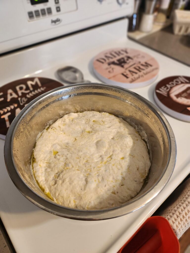 My first focaccia - how did I do?