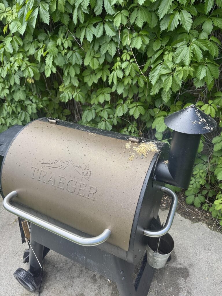 What pellets would you recommend to complement the ant flavor?