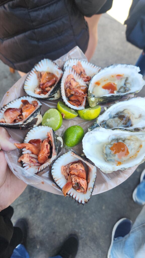 Snacking on red blood clams and oysters in Ensenada