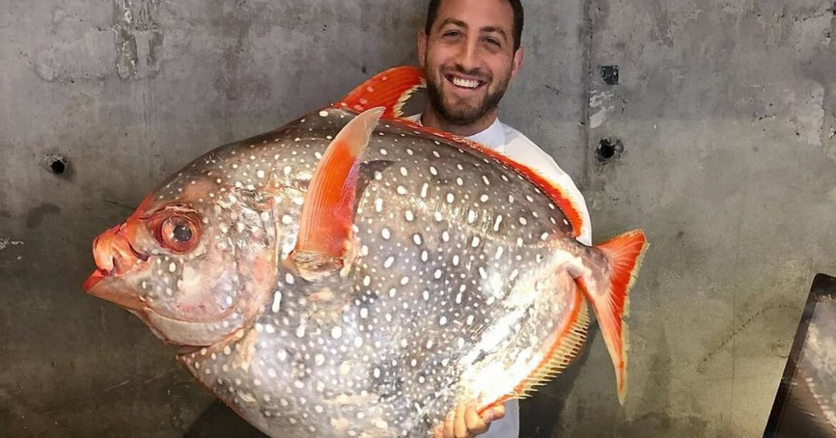 Celebrated Toronto chef opening new neighbourhood ‘hot spot’ Celebrated Toronto chef opening new neighbourhood 'hot spot'