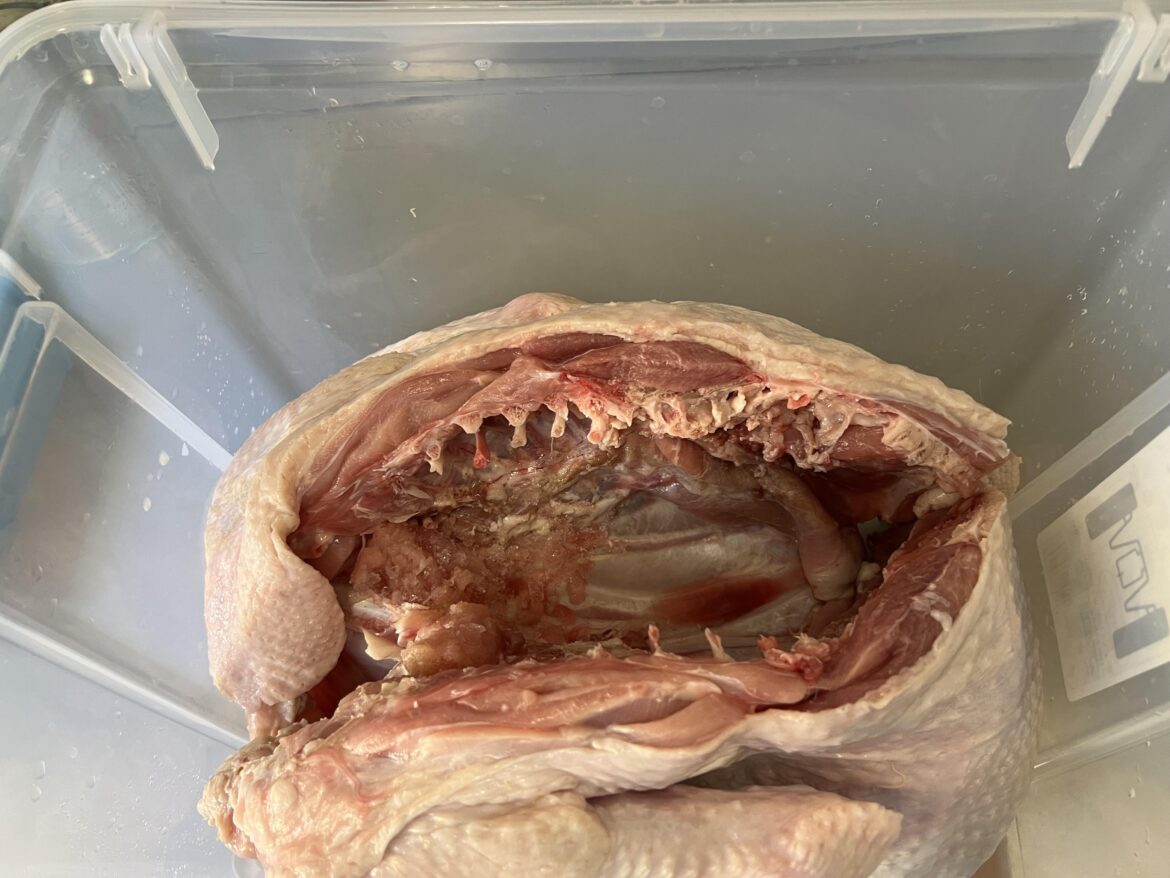 Spatchcocked this turkey and I can’t get that scene from The Thing out of my head…