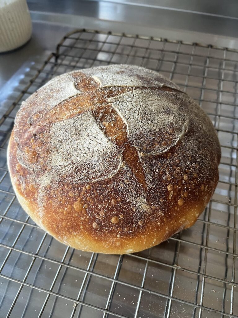 Hello! First loaf… how does it look?