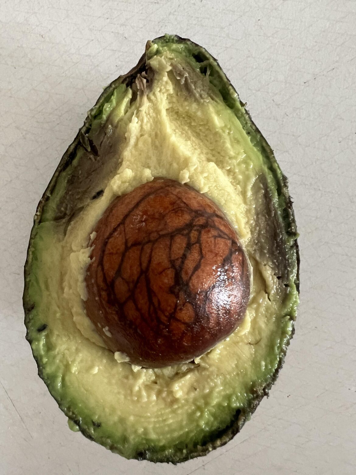Anyone ever see a veiny avocado seed?