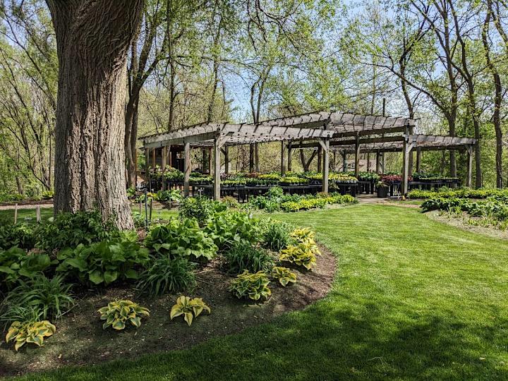 Hostas on the Bluff sells multiple varieties of potted plants, including hostas and companion plants.