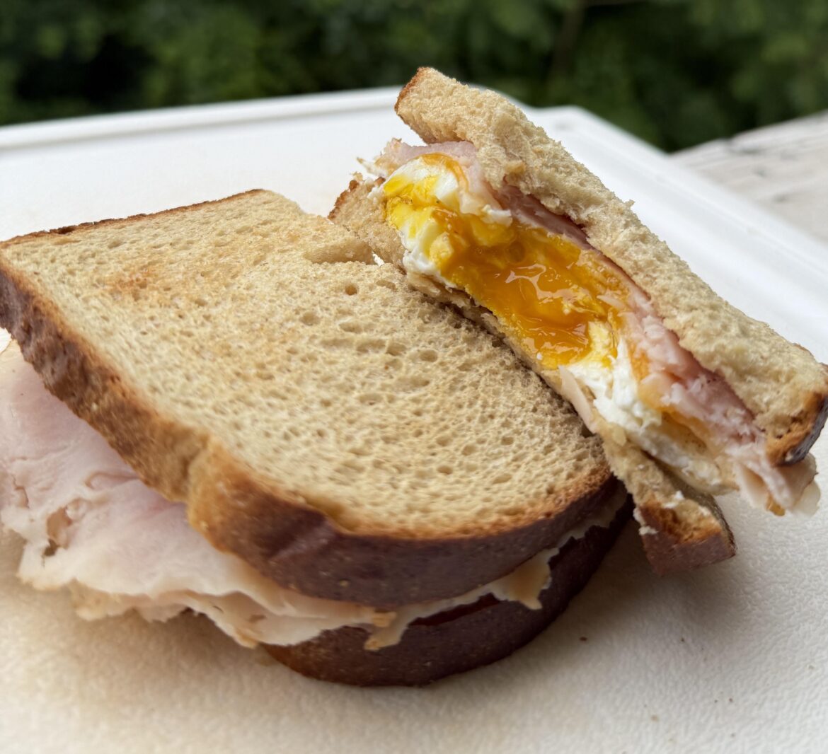 I’ve had this for brunch three days in a row. Turkey, egg & Colby Jack on lightly toasted Wegman’s oatmeal bread.