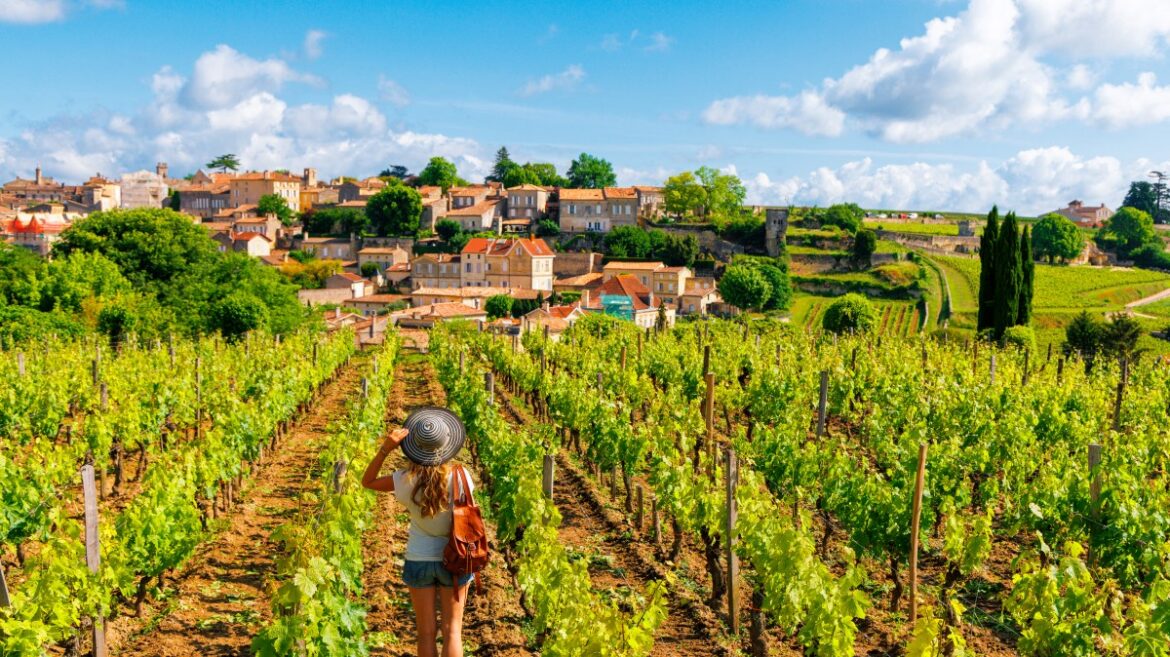 9 of the best wine-tasting holidays in France