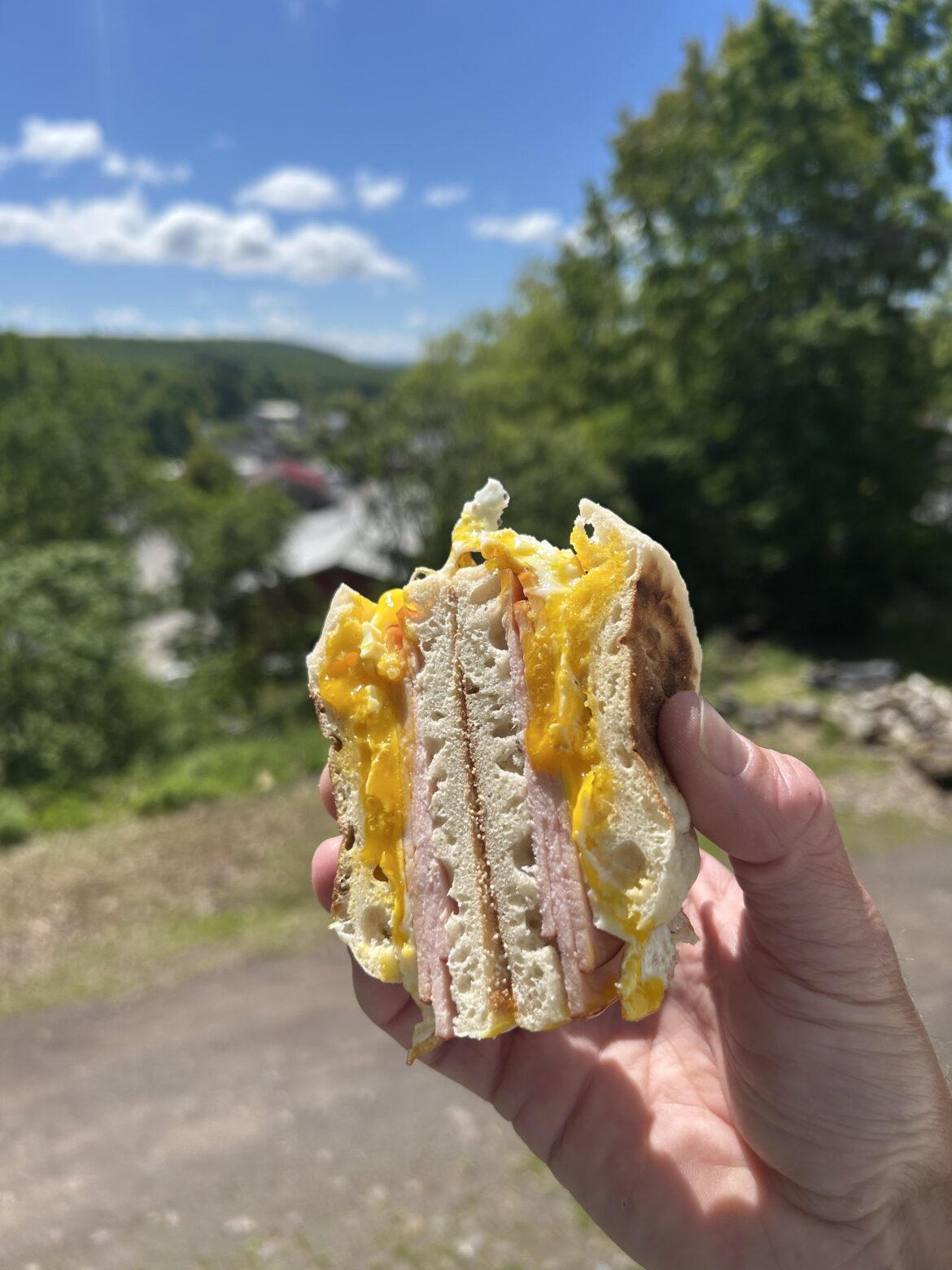 Im a simple man, sourdough english muffin, farm fresh egg, Canadian bacon